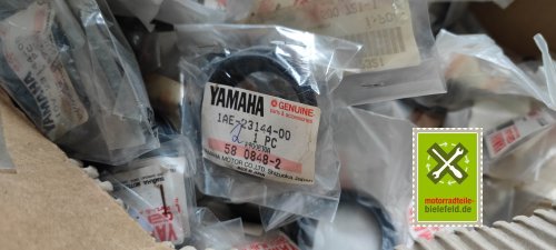 IMG_20230830_162959